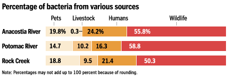 Percentage of bacteria from various sources